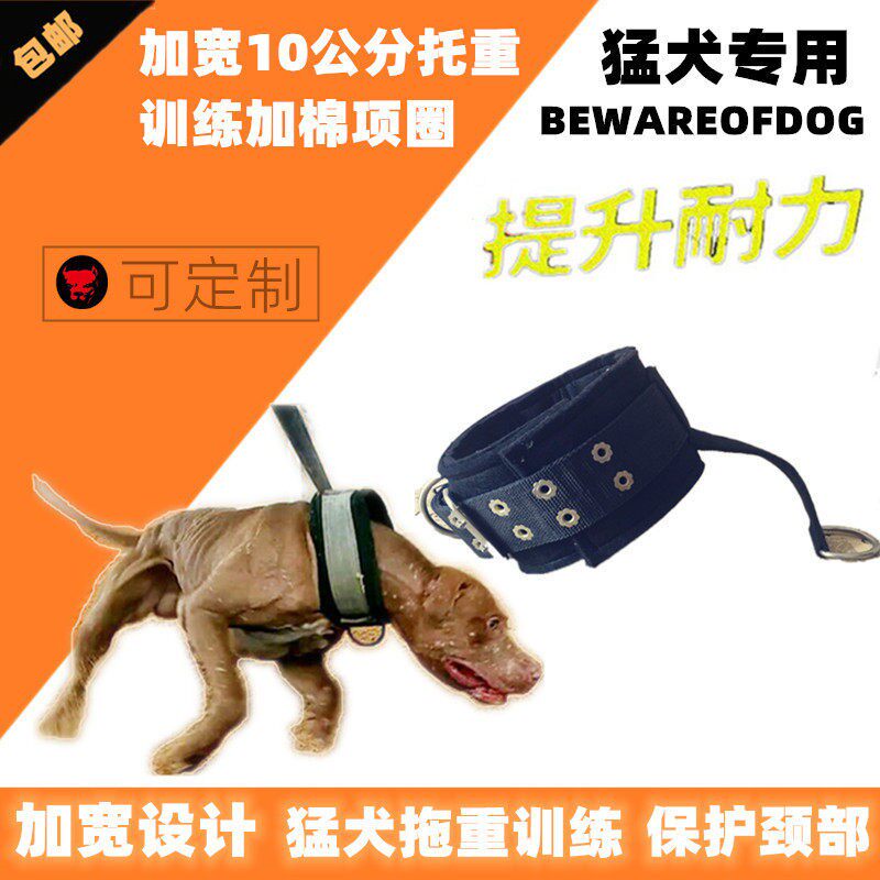 比特犬加棉防磨拖重脖圈 斯塔福托铁链训练加宽项圈 猛犬用品装备
