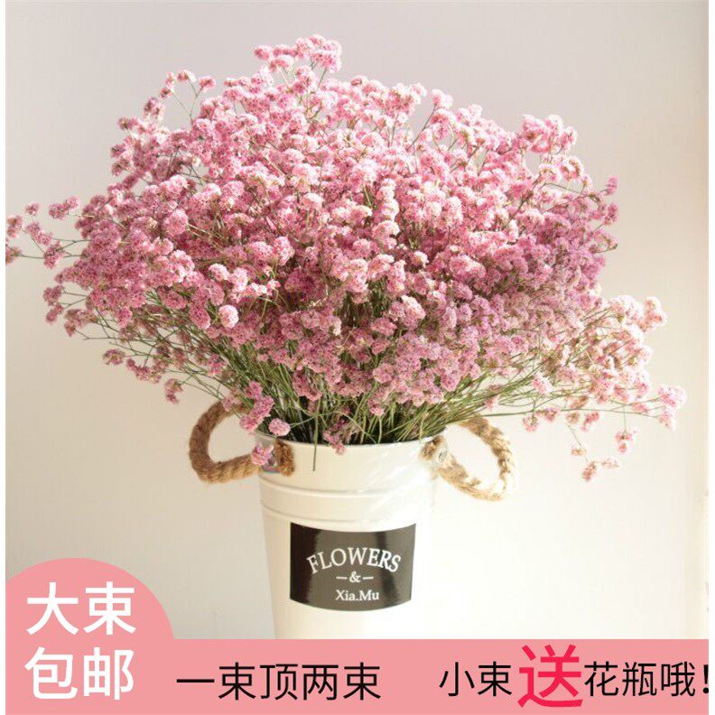 云南真花自然风干情人草干花束勿忘我混搭客厅电视柜摆件超大长款