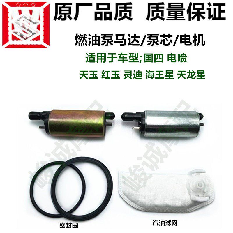 适用灵迪天玉海王星燃油泵马达机芯电机红宝天龙星汽油泵滤网电喷