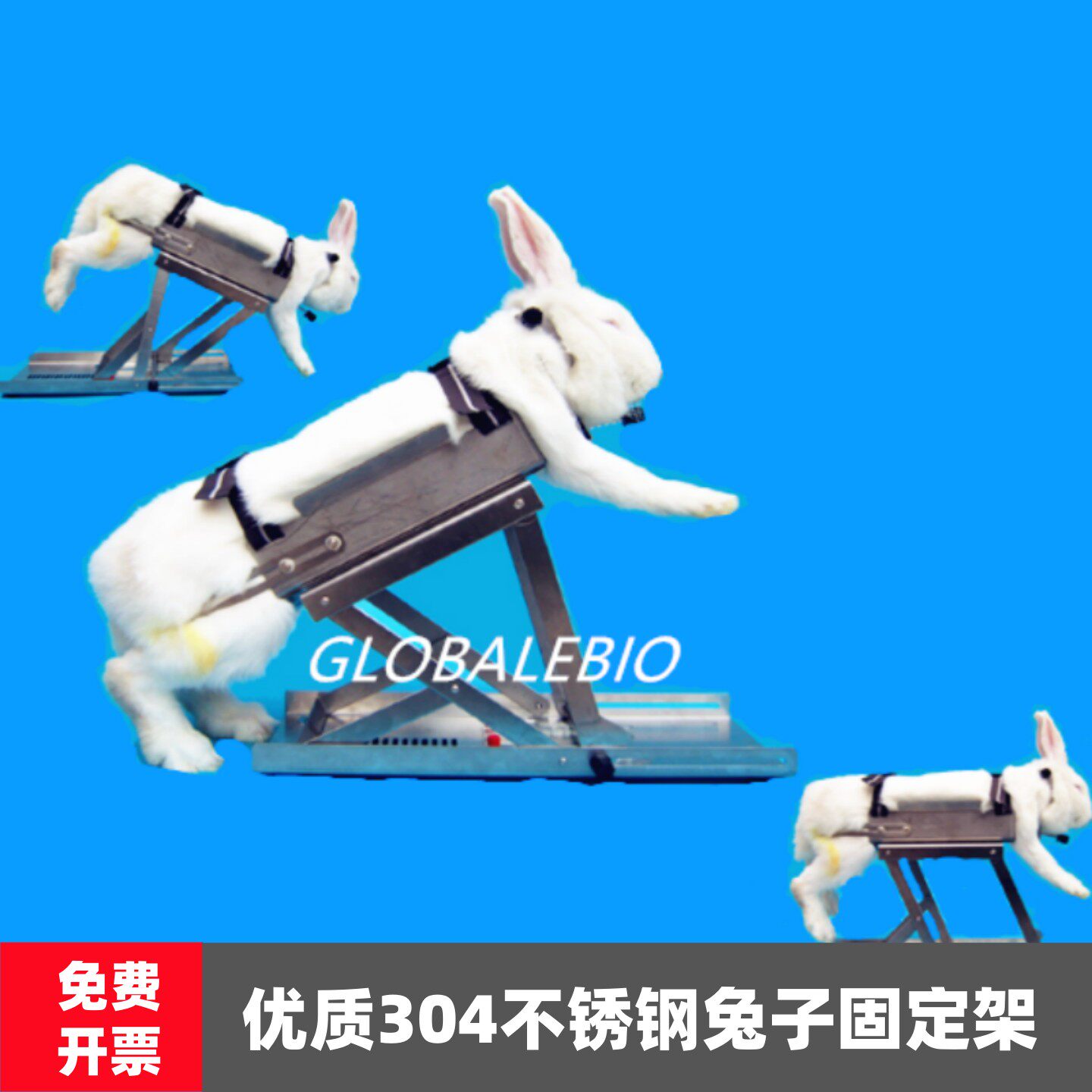 多功能兔子固定器固定架实验兔子灌胃固定架保定器固定箱盒子促销