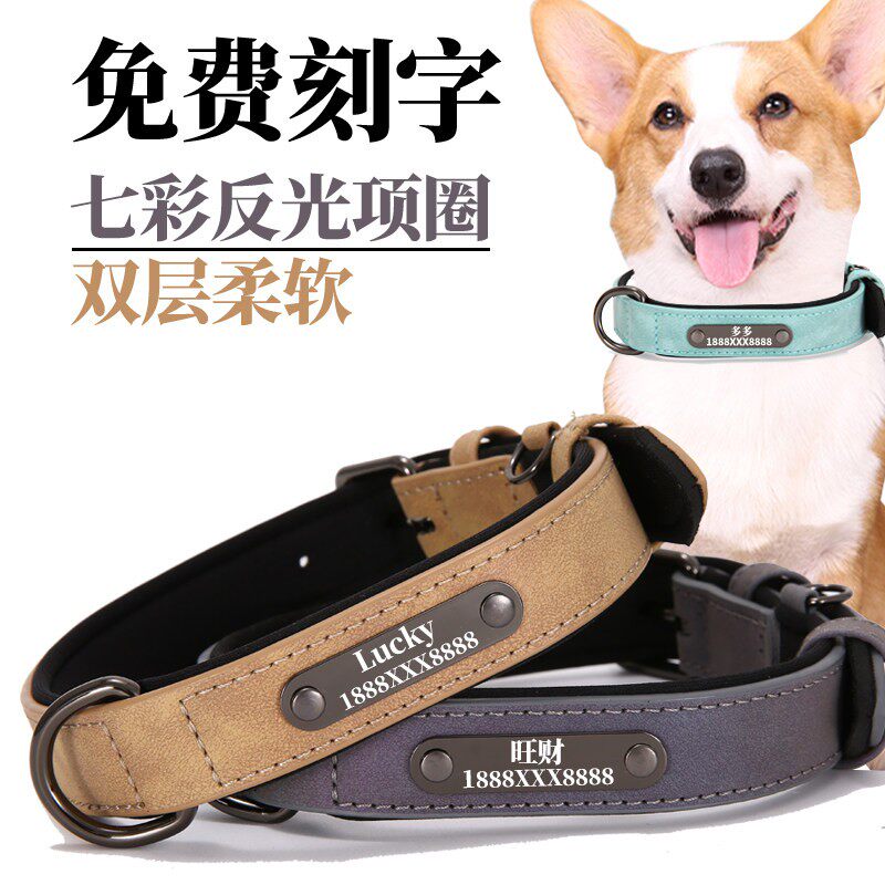 反光狗狗项圈柯基刻字猫牌脖圈小型犬中型犬宠物猫咪狗牌定制防丢
