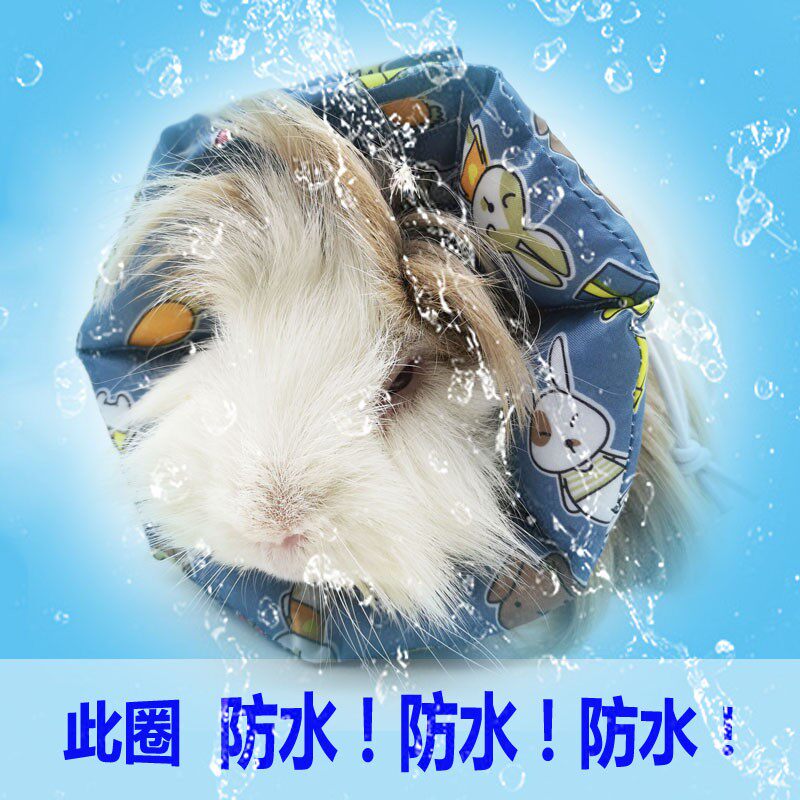 可定制防水伊丽莎白圈豚鼠龙猫兔子猫狗刺蝟松鼠 防咬防舔头套