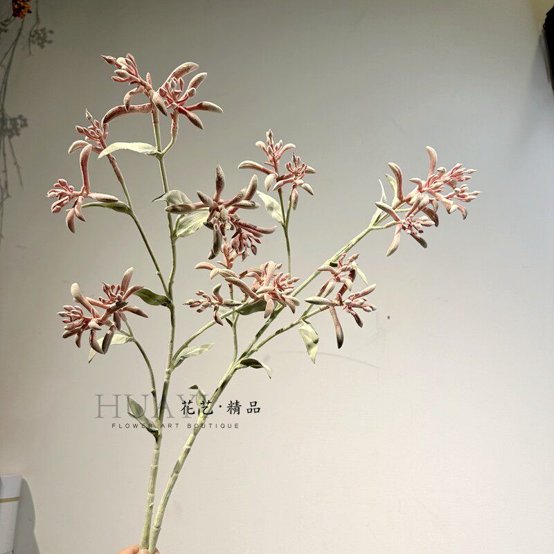 澳洲袋鼠爪仿真花夜来香姜荷花插花素材植毛小众花材线条干支造型