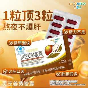 华喜达中和鸿业牌灵芝姜黄护肝胶囊辅助保护化学性肝损伤增强免疫