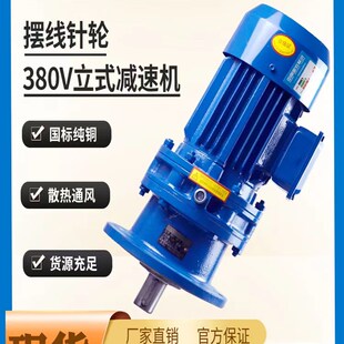 卧式 摆线针轮减速机立式 小型减速机减速箱铜O芯电机一体摆针减速