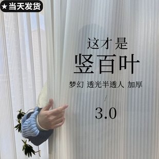 竖百叶梦幻窗纱阳台飘窗纱帘窗帘窗帘竖百叶透光纱帘透光不透人沙