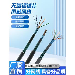 防老鼠咬铠装网线屏蔽超五类室外六类铠甲网络线宽带线户外可地埋