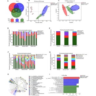 生信分析服务医学定制单细胞分析测序转录组挖掘tcga geo数据库