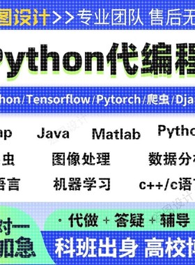 计算机java程序代编Python编程C编写C++代做linux设计R代码qt开发