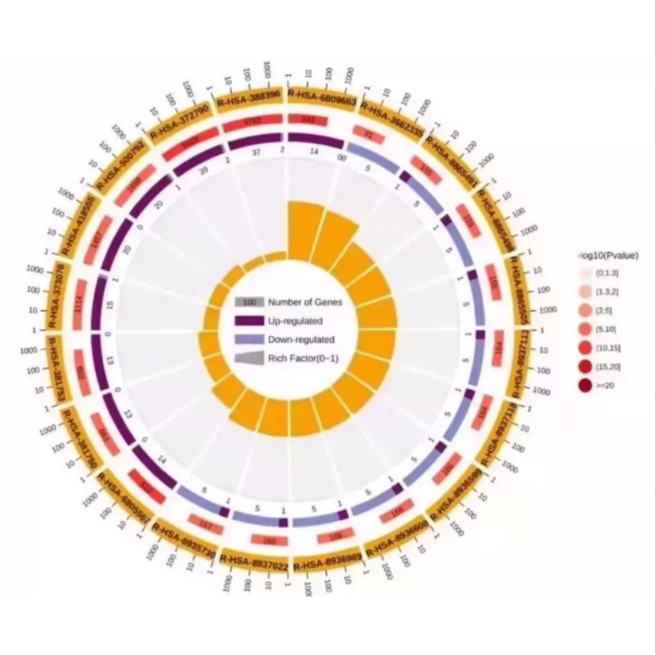基因家族生物信息学分析 表达模式 顺式元件 压力诱导表达
