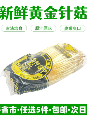 新鲜黄色金针菇【任选5件包邮】自然生长0添加原味菌菇火锅食材
