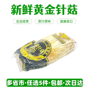 新鲜黄色金针菇【任选5件包邮】自然生长0添加原味菌菇火锅食材