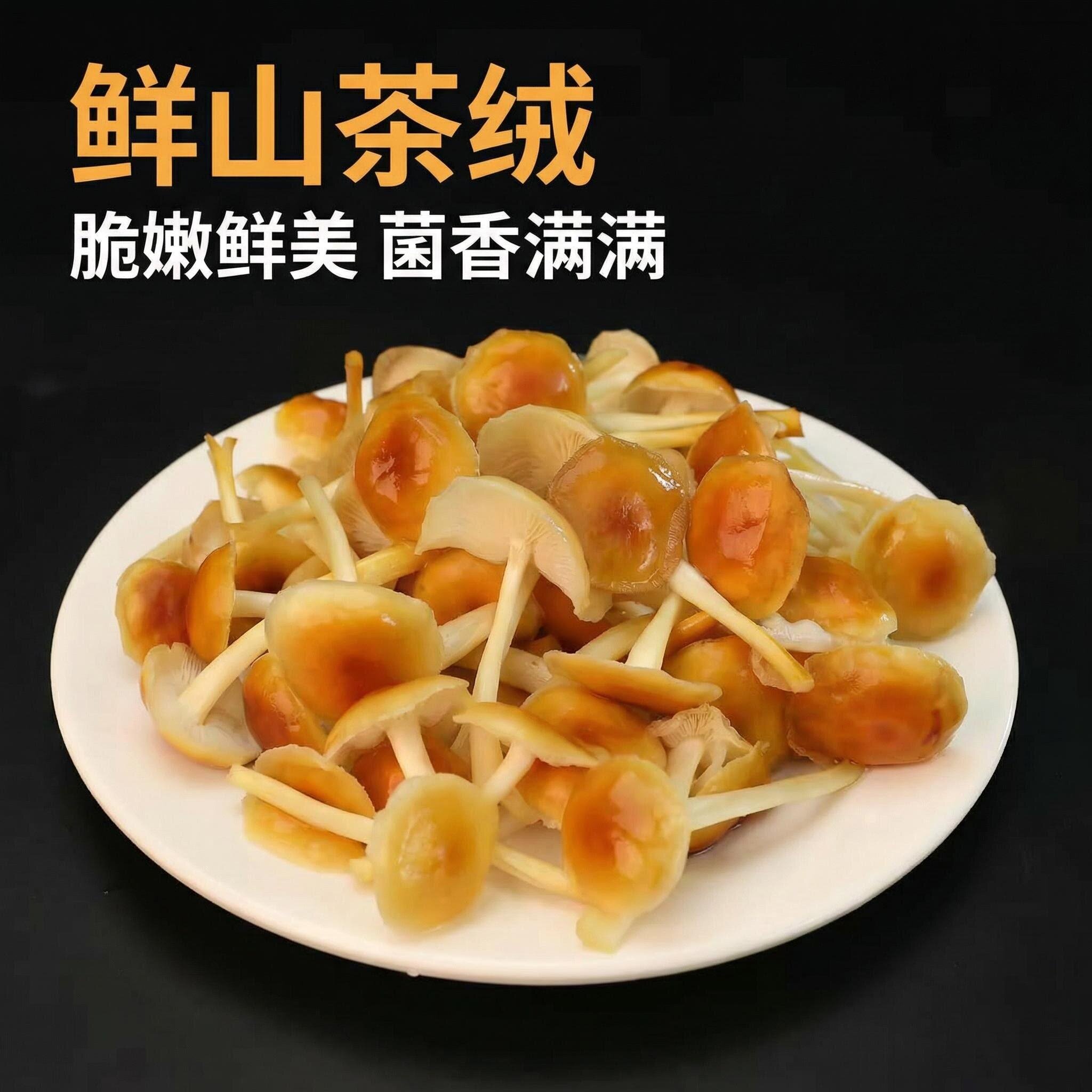 新鲜山茶茸【顺丰包邮】珍稀菌菇松子菌鲜嫩美味火锅食材炒菜煲汤