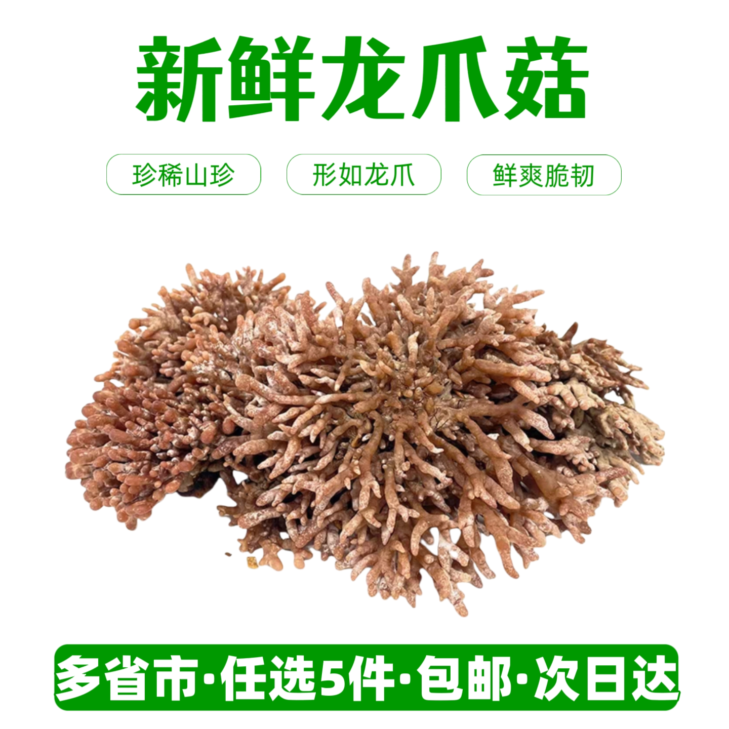 新鲜龙爪菇【任选5件包邮】生鲜菌菇猫爪菇珊瑚菇鸡爪菇火锅食材