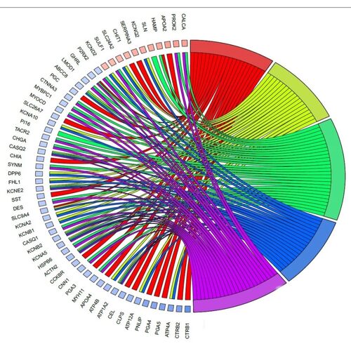 R语言代码Rstudio绘图SCI科研生信医学桑基热图数据分析作图教程