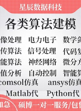 数学建模帮做Matlab代码帮做python代码路径规划深度学习代码复现
