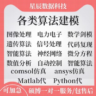 数学建模帮做Matlab代码帮做python代码路径规划深度学习代码复现