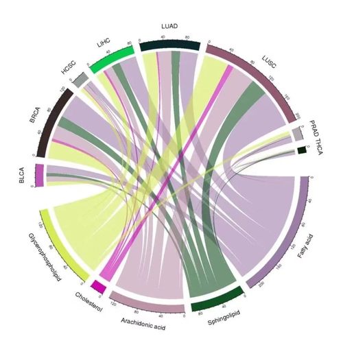 分析指导讲解/生信数据分析/单细胞转录组/Meta分析/R语言代谢组