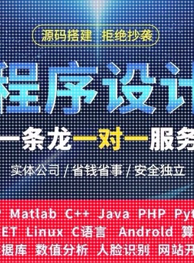 python代编程深度学习算法java定制软件程序代写php代码编写做C++