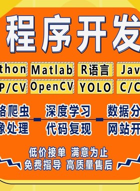 python代做编程matlab代码帮跑通深度学习机器R语言yolo算法复现