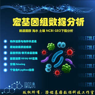 宏基因组数据分析/宏转录组比对/组装/物种注释功能KEGG预测/分箱