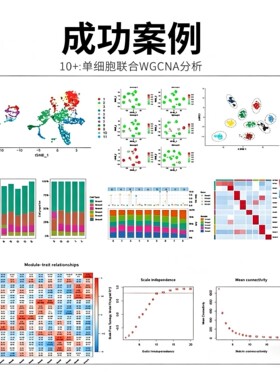 Python或R语言绘图数据分析可视化定制热图森林图ROC曲线柱形饼状