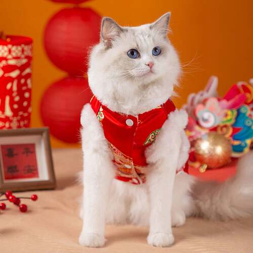 秋冬季猫咪衣服新年金丝龙纹毛边四脚唐装保暖冬天成猫幼猫拜年服