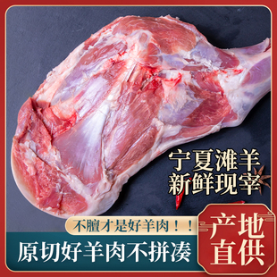 宝玥宁夏盐池滩羊新鲜纯3斤羊前腿整只羊腿现杀正宗滩羊烤羊腿