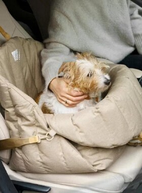 狗狗包猫包外出便携狗狗车载座椅手提小狗包宠物坐垫坐车神器
