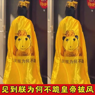 龙图表情包披风皇帝搞笑恶搞黄袍登基cos皇上搞怪抽象沙雕服饰