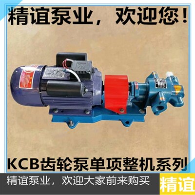 高温齿轮油泵KCB18.3/33.3/55/83.3自吸泵齿轮泵单相电机220V整机