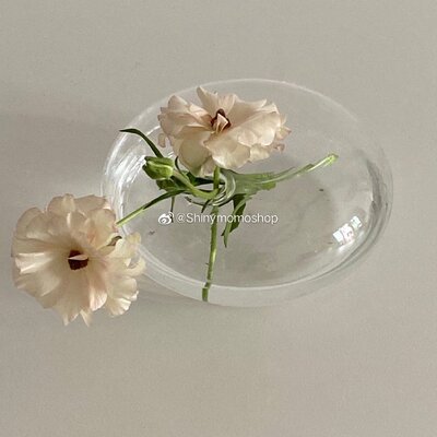Shinymomo法式玻璃花瓶透明球型圆形瓶法式玻璃球