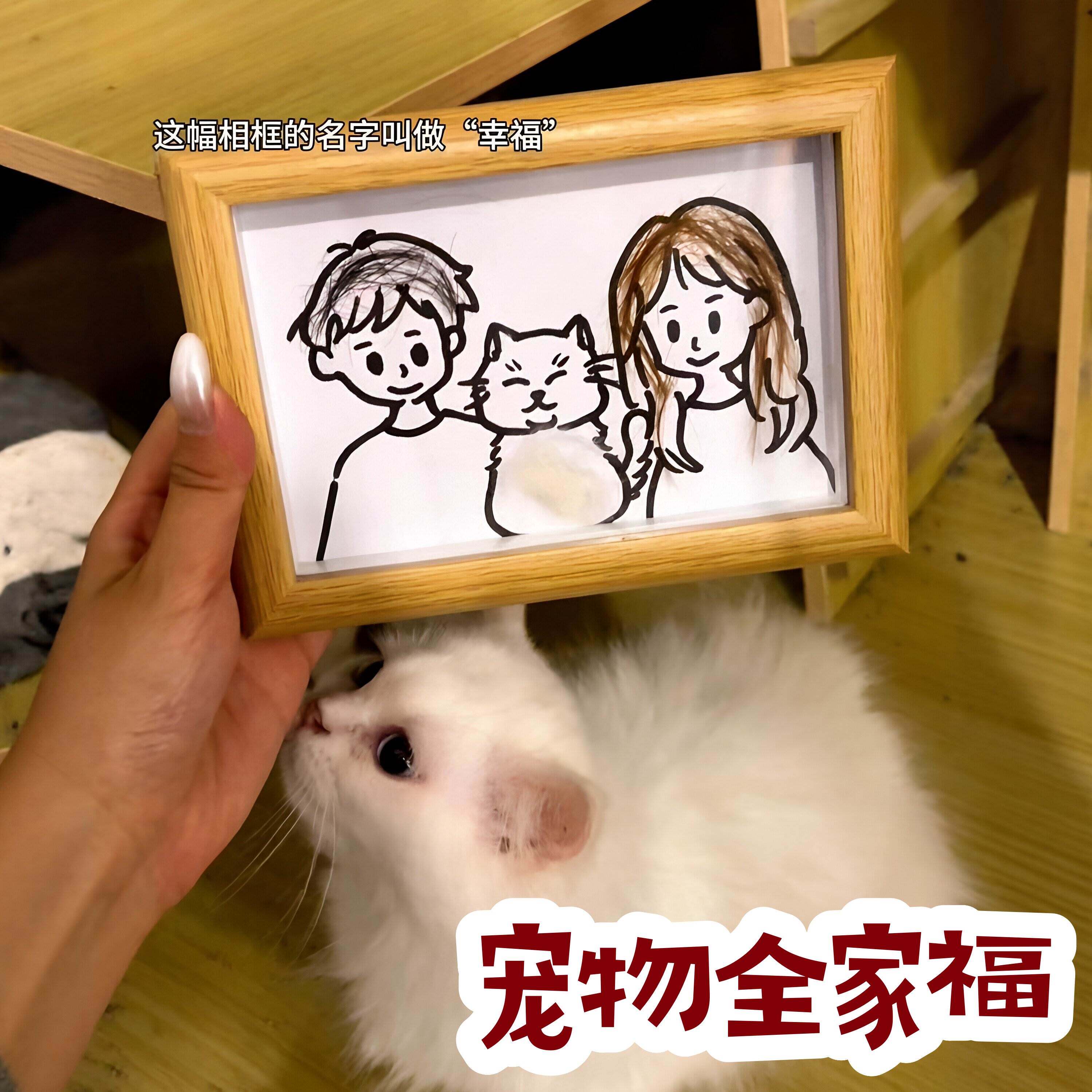 【宠物全家福】宠物毛发留念相框情侣小猫狗纪念手工DIY画框摆件