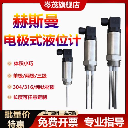 赫斯曼电极式液位计小巧型传感器G1不锈钢探针电极开关水位控制器