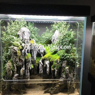 可安裝 電視機魚缸水陸缸 風扇與過濾桶 使用方法 設計 雨林缸 新款