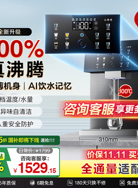 美国瑞美壁挂管线机壁挂式净水器家用即热饮水机餐边柜直饮过滤