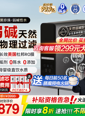 美国Rheem瑞美弱碱净水器家用矿化直饮机厨下式过滤ro反渗透1200G