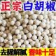 白胡椒粒500g胡椒粉海南特产调味料正宗商用颗粒散粉农家特产