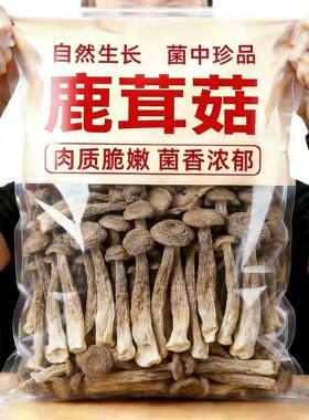 新菇1斤装高档鹿茸菇不碎批发