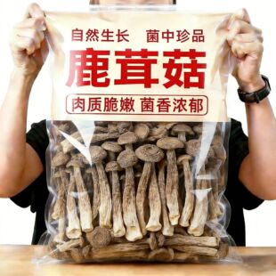 高档鹿茸菇新鲜菌菇完整不碎批发炒菜火锅新鹿茸菇 新菇1斤装