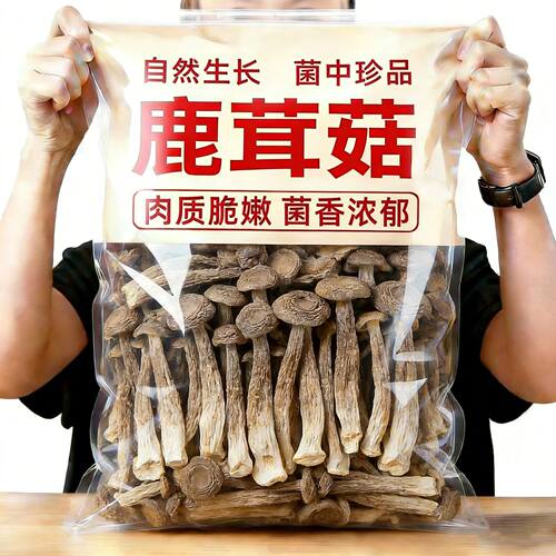 新菇1斤装高档鹿茸菇不碎批发