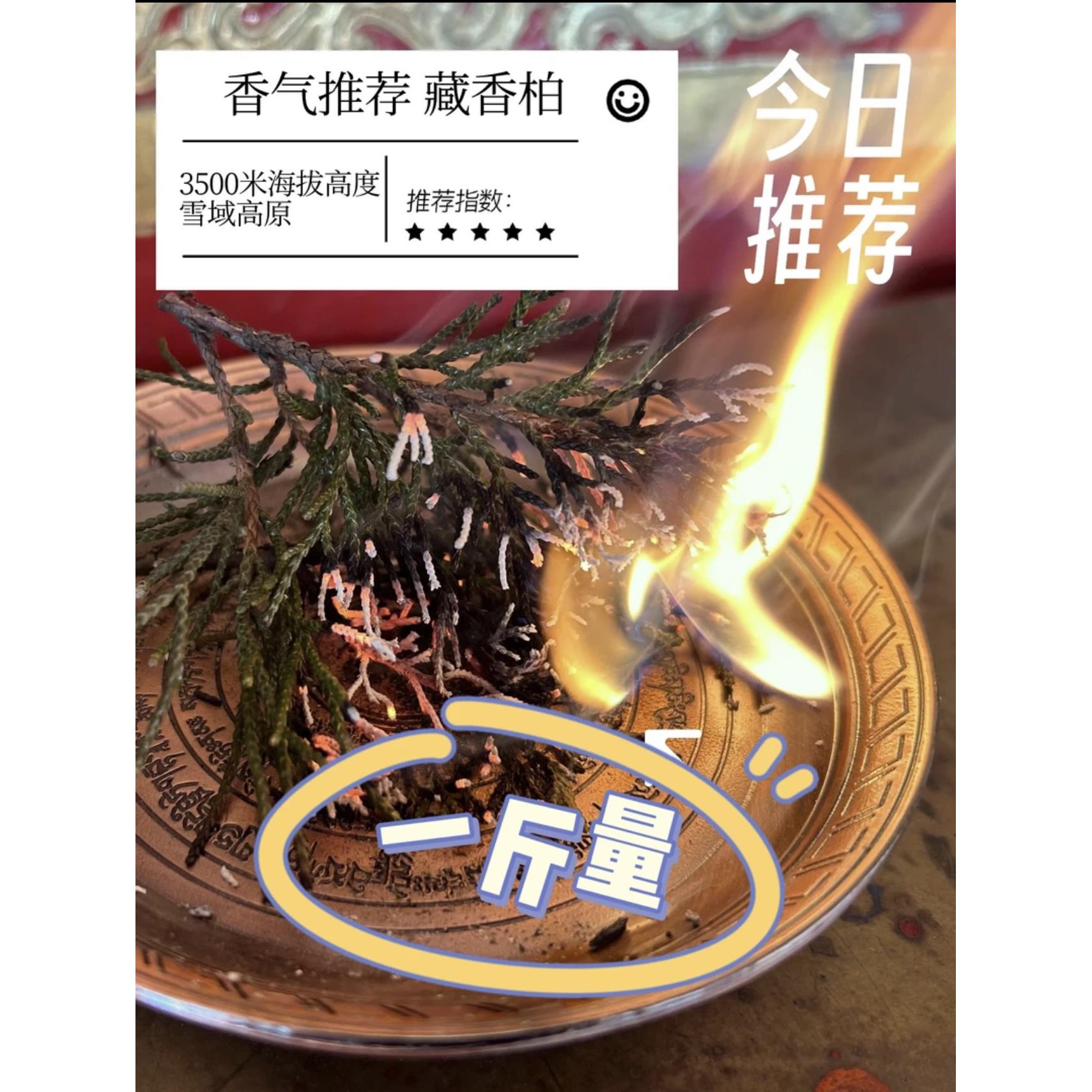 西藏高原天然藏香柏叶家用香薰净化空气 植物香薰一斤