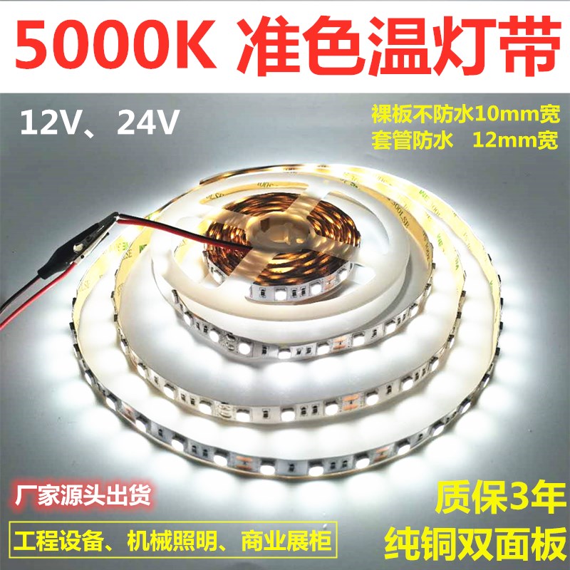 准色温5000K灯带12V5050不防水5000K奶白色灯带 24V防水5000K灯条