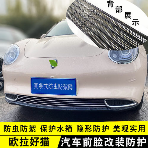 21-22款欧拉好猫GT中网改装亮条配件前杠专用防护用品汽车防虫网