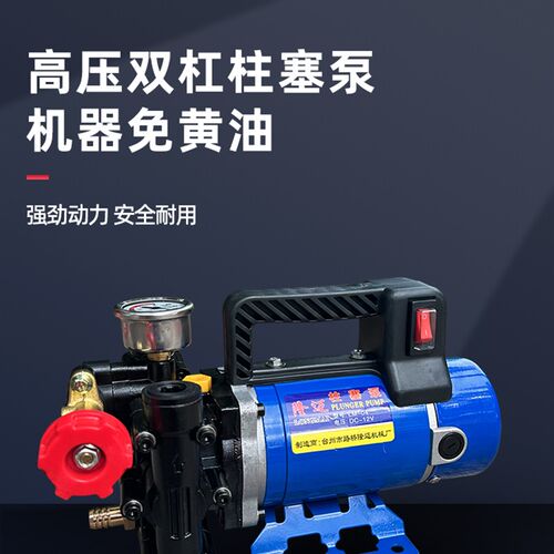 隆迈手提式打药机农用电动果树喷雾器12v60v24v220伏双缸柱塞泵