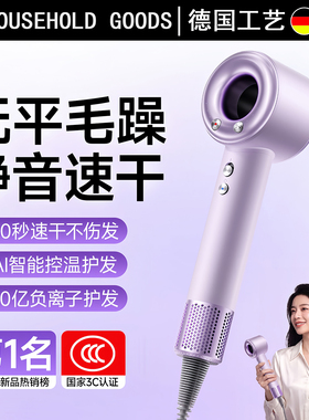 德国高速电吹风机负离子护发静音