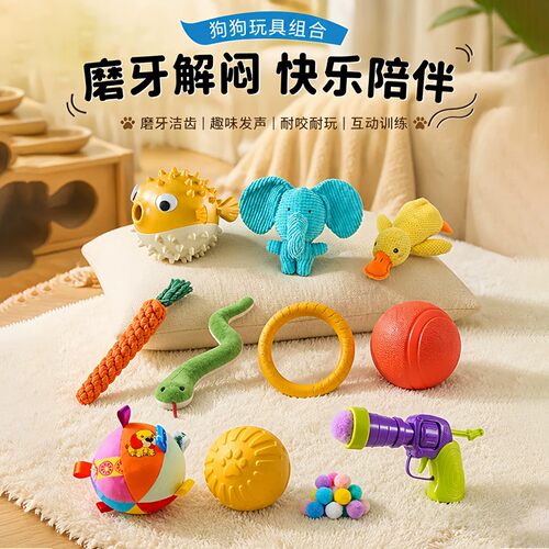 狗狗特色玩具宠物玩具组合套装