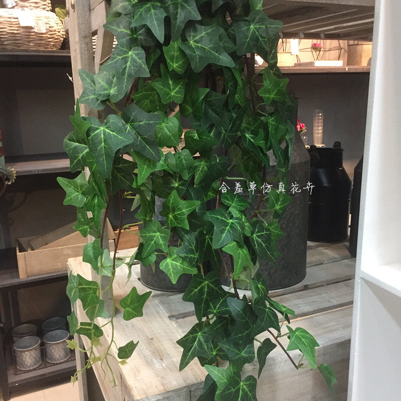 仿真常春藤壁挂绿植装饰把束地瓜叶绿色爬山虎藤蔓婚庆叶子植物