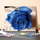 数字油画diy手工填充纯洁美好蓝色玫瑰花卉手绘涂色丙烯油彩画画