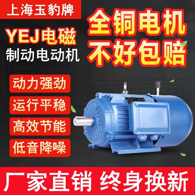 铜芯Y2EJ电磁制动三相异步电动机380V失电刹车电机铜线马达带抱闸